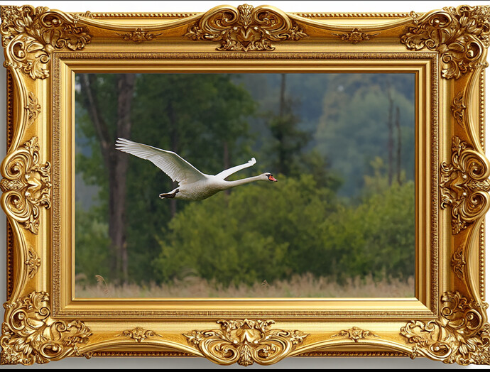 S7R09873_plus