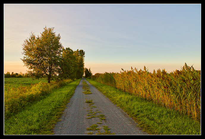 2024-08-29-IMG_0745-_LR