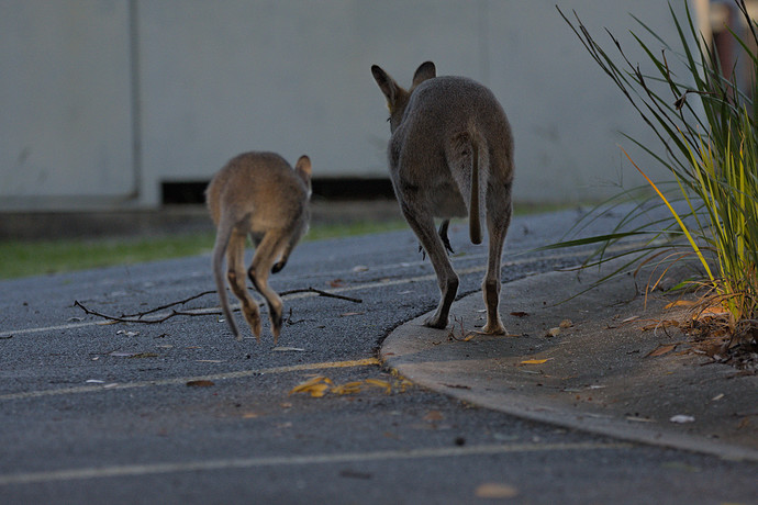 2021-04-21_16-31-09.04_DSC9099