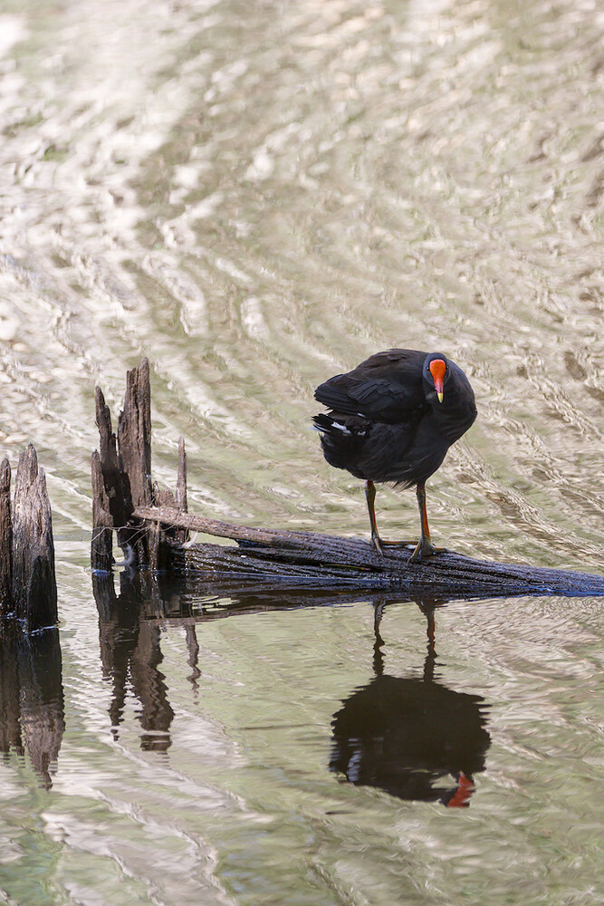 2026-01-09_16-21-55.87_DSC1027