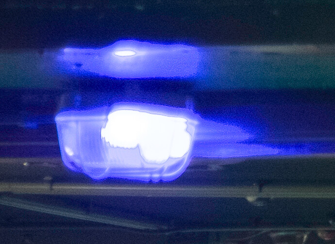 SSFs_Profile_CloseUp