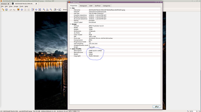 Screenshot_2021-03-18_13-30-47