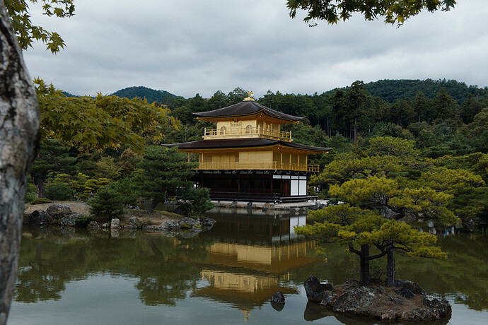 2025_10_11-10_32_54_DSCF7088-1