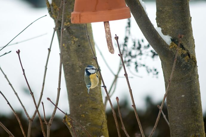 260127_111128_DSC08423