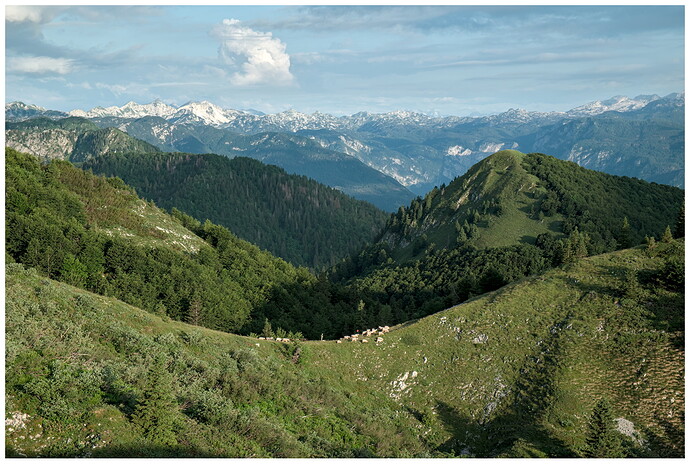 DSCF7972_01