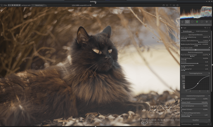 Bildschirmfoto_20251019_155454