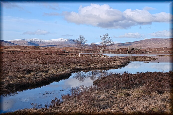 20240313-1709-8228-1