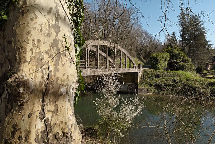 Garonne canal near La Réole