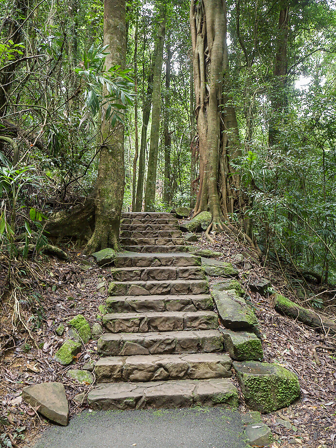 2025-02-14_12-46-56._2140306