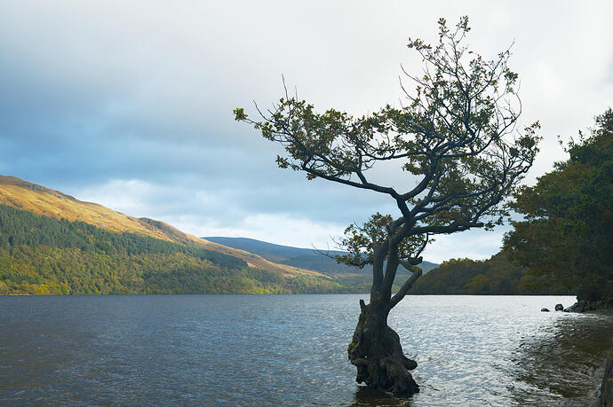 20251009_154049__DSF3651