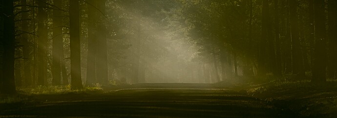 _DSC2318_01