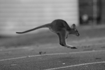 2021-04-21_16-31-08.08_DSC9093