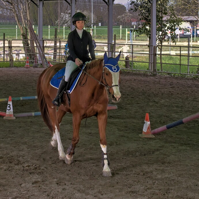 IMG_6624 Bitless_I_2023_1-cropped