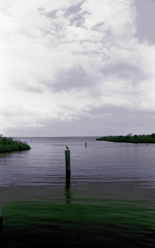 2025-08-05 _1