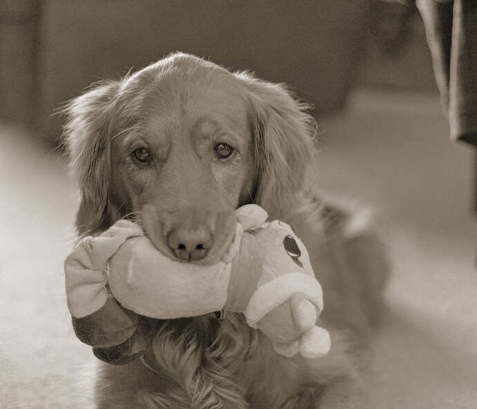 2015-01-22 093429-01