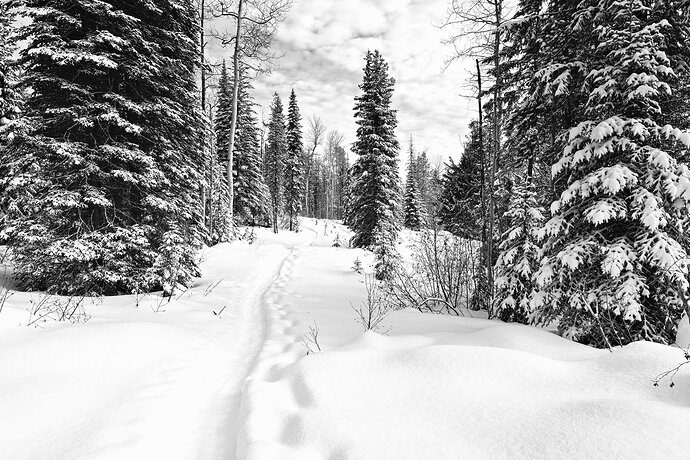 2020-02-25_10-40-25-2