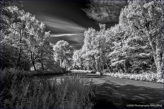 FMG12587-F11mm-A10.0-RongebosIrix11-ISO100-dt_v1-illustration40-tonemap50-2026-web