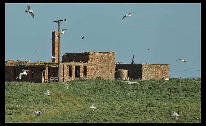 Keep it or leave it_20250523-1716-9868