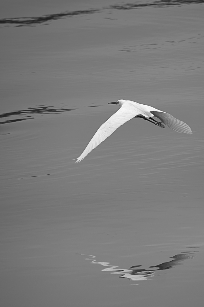 2020-02-07_12-13-22.35_DSC9547