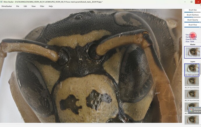 WASP_HEAD