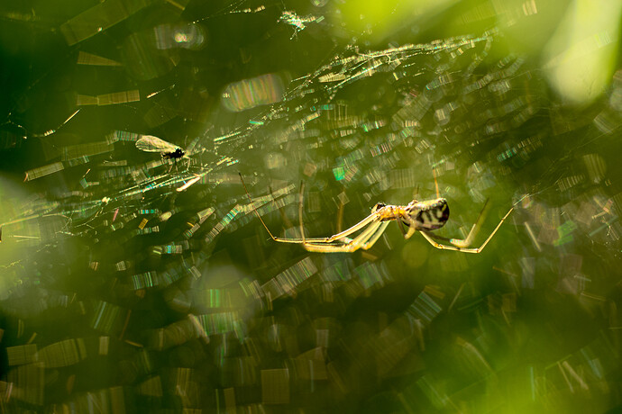 2023-05-23__DSC05176_web