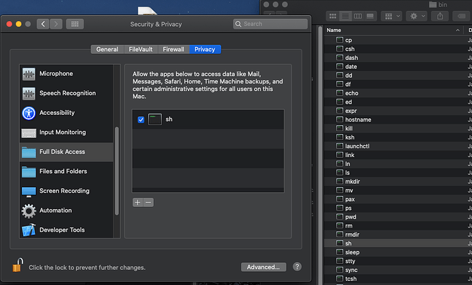 Screen Shot 2020-02-05 at 3.10.23 PM
