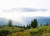 20260903_0118