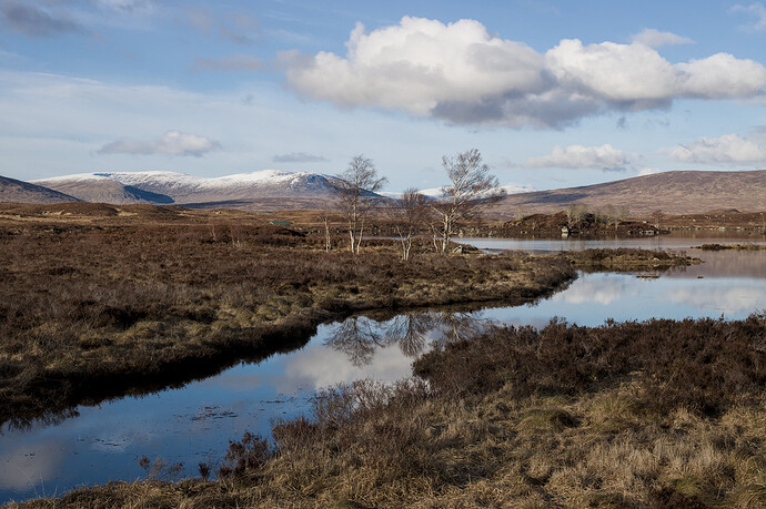 20240302-1709-8228_01