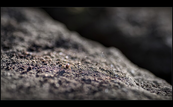 260228_164815_DSC08920_03