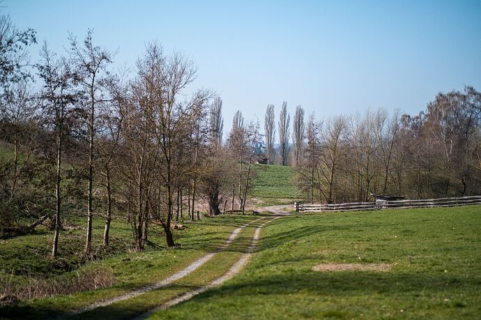 260322_102940_DSC09188