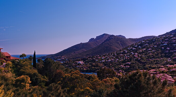 D75_7592-1