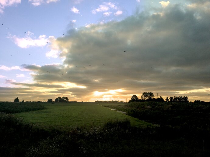 Sunset_20250816-202452-0006