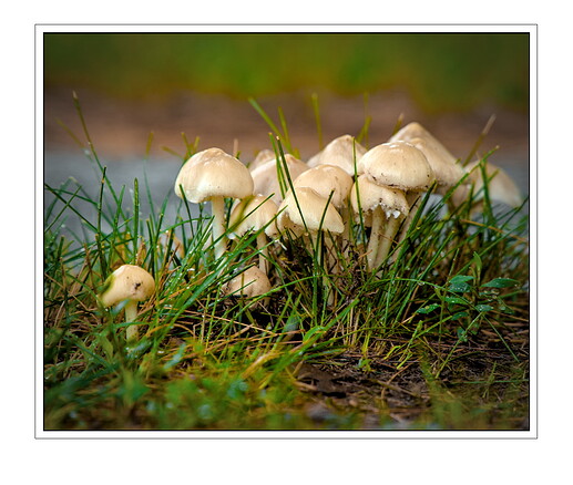 _DSC5398