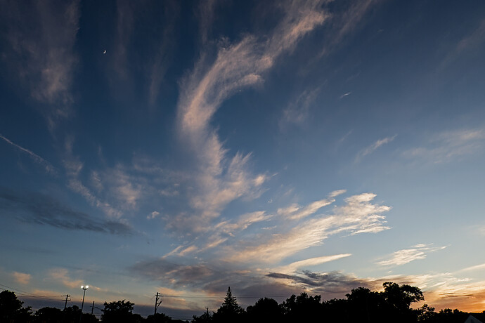 IMG_8328_10.CR2
