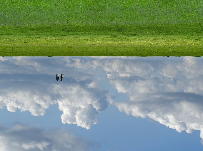 20190509_4136_Rheindamm_Horizont_upside_down