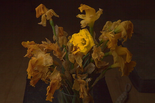 26-03-26 _MG_9285