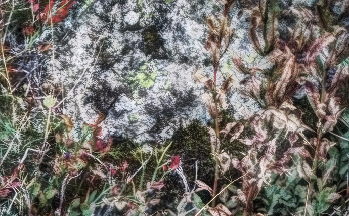 20250913_2025-09-13 nendaz_0091_art_gimp_gmic_chainner_edit2