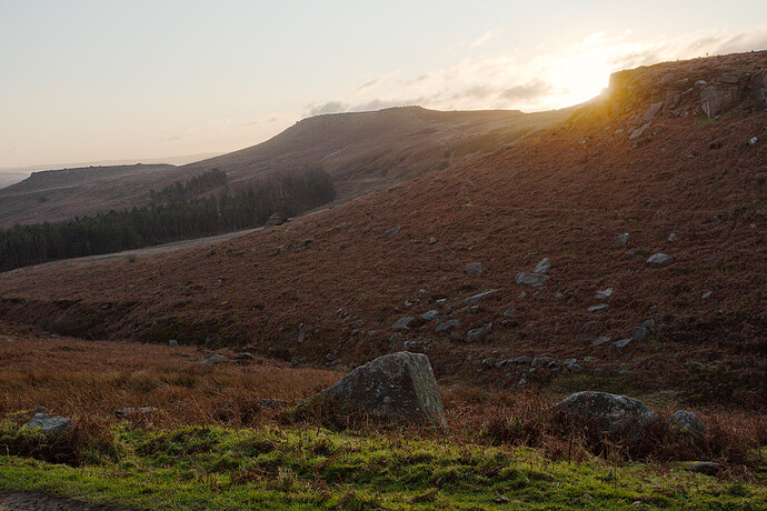 Burbage-standard