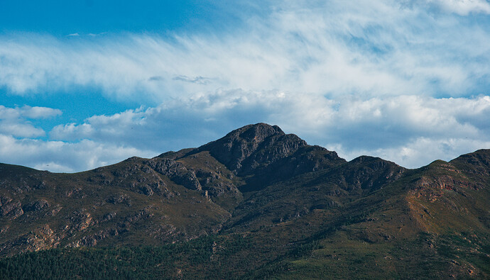 _DSC0613