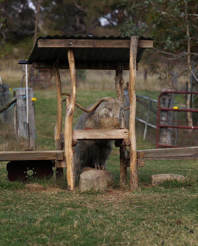 DSC02527_stitch_small