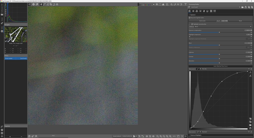 Resolution and pixel right side edge pixel stretch bug in Rawtherapee ...
