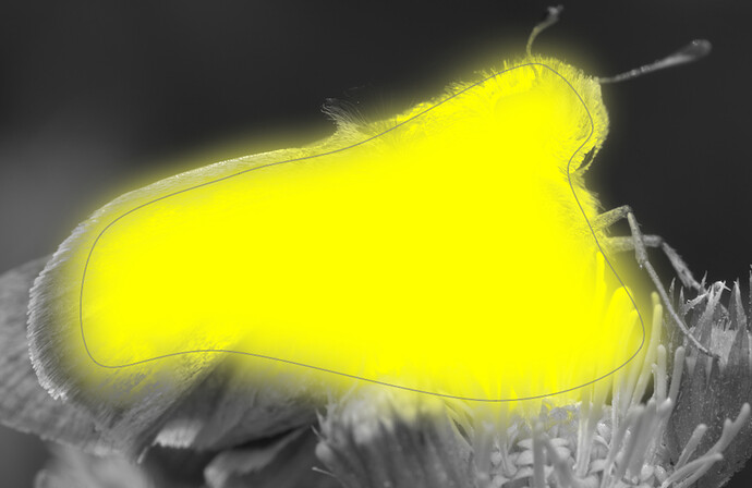 17.0-displaying-a-mask