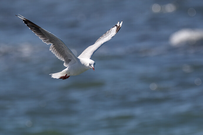 2026-01-09_14-45-40.26_DSC0513