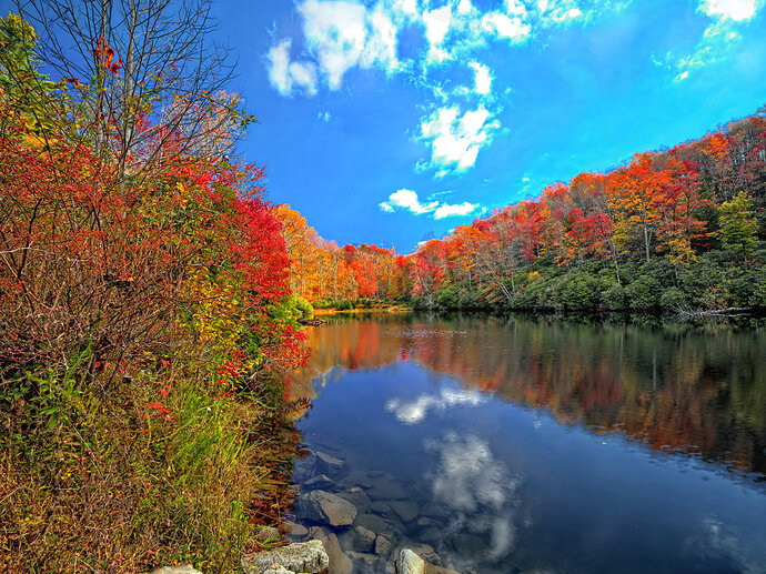 2025-10-18 11.38.12 - Autumn in Appalachian