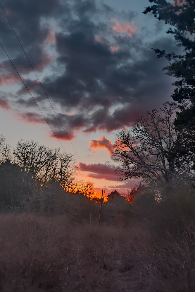 Shadow & Highlights  1Q8A5461-2026.01.21