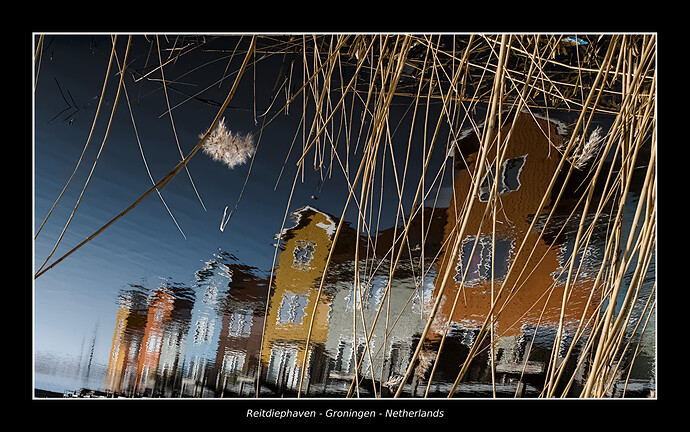 20260303-124152-DSC_0173_01