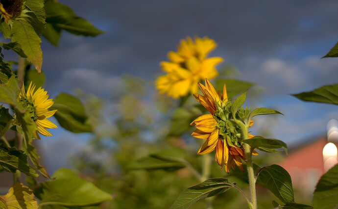 260905_183839_DSC07643