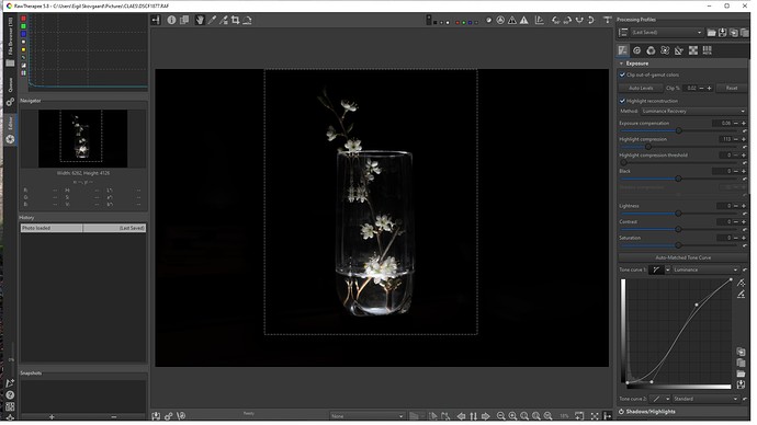 DSCF1877 is shown correctly in latest officieal version of RT