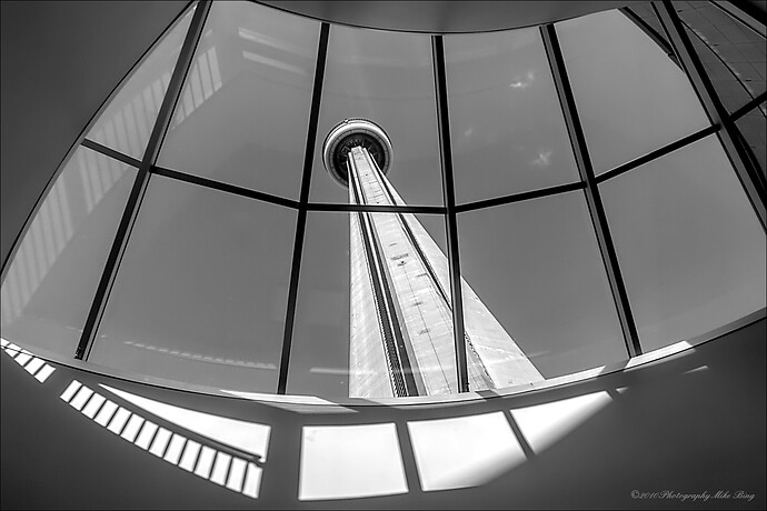 amgp8261_v1-2025-web