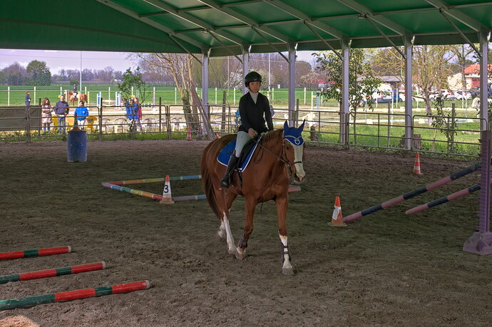 IMG_6624 Bitless_I_2023_1